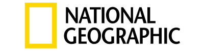 Partner 5